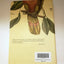 The Bedside Book of Birds: An Avian Miscellany by Gibson, Gr