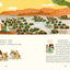 The Book of Belonging: Bible Stories for Kind and Contemplative Kids