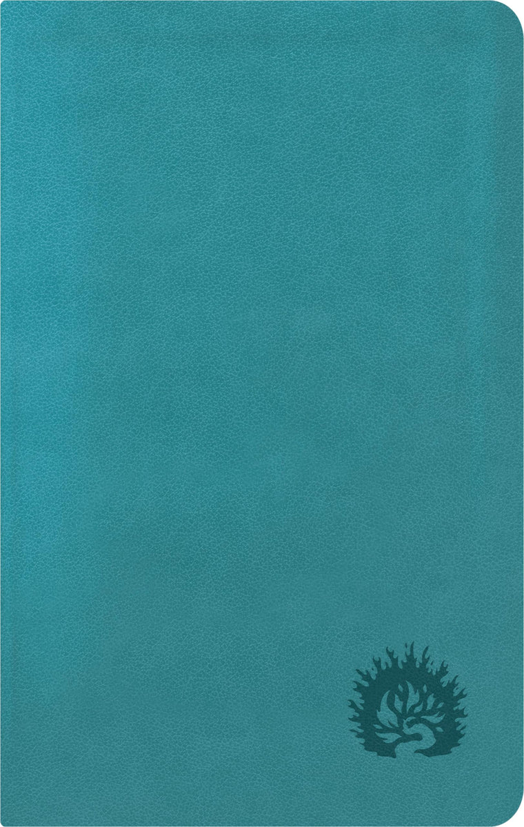 ESV Reformation Study Bible, Condensed Edition - Turquoise, Leather-Like