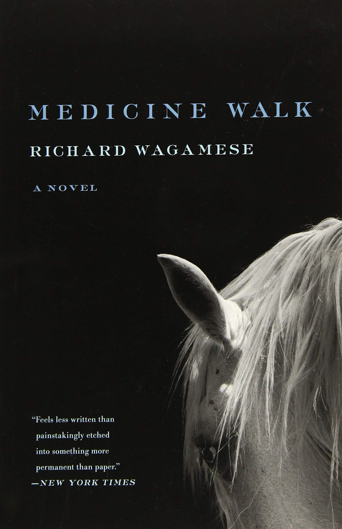 Medicine Walk by Wagamese, Richard