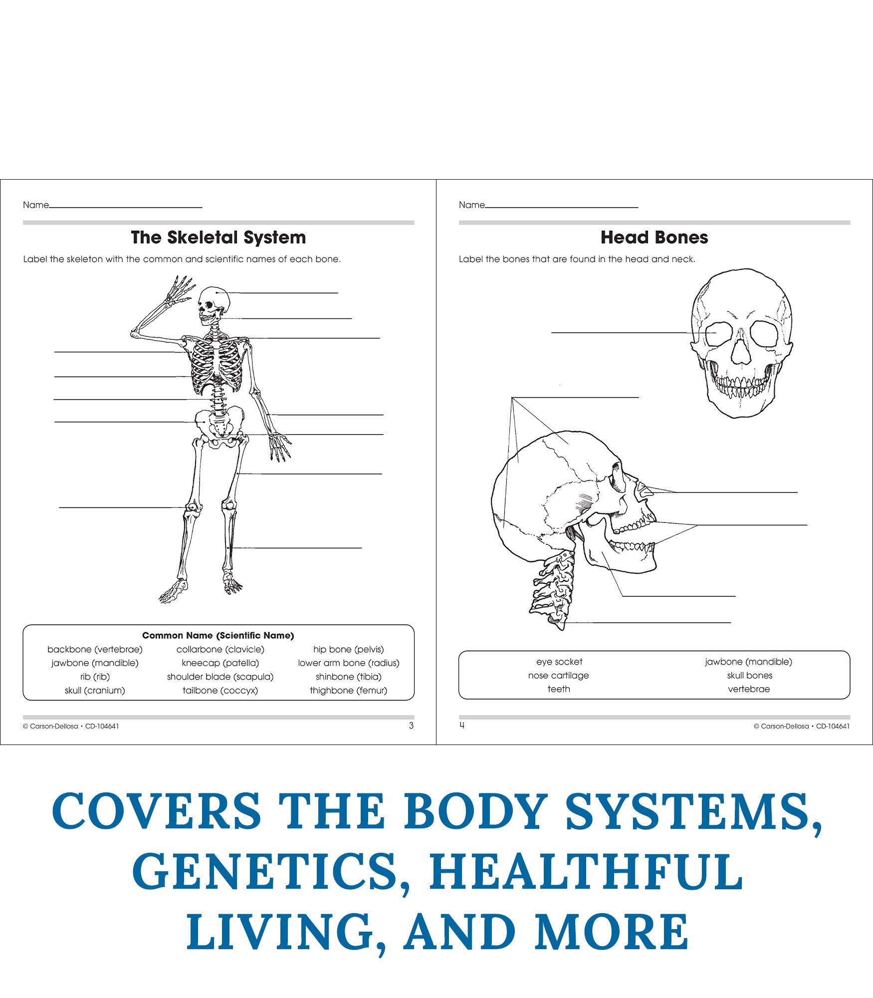 Carson Dellosa The 100+ Series: Human Body Workbook-Grades 5-8 Science Book, Human Anatomy, Bones, Muscles, Organs, the Nervous System, Health and Nutrition (128 pgs)