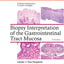 Biopsy Interpretation of the Gastrointestinal Tract Mucosa: Volume 1: Non-Neoplastic (Biopsy Interpretation Series)