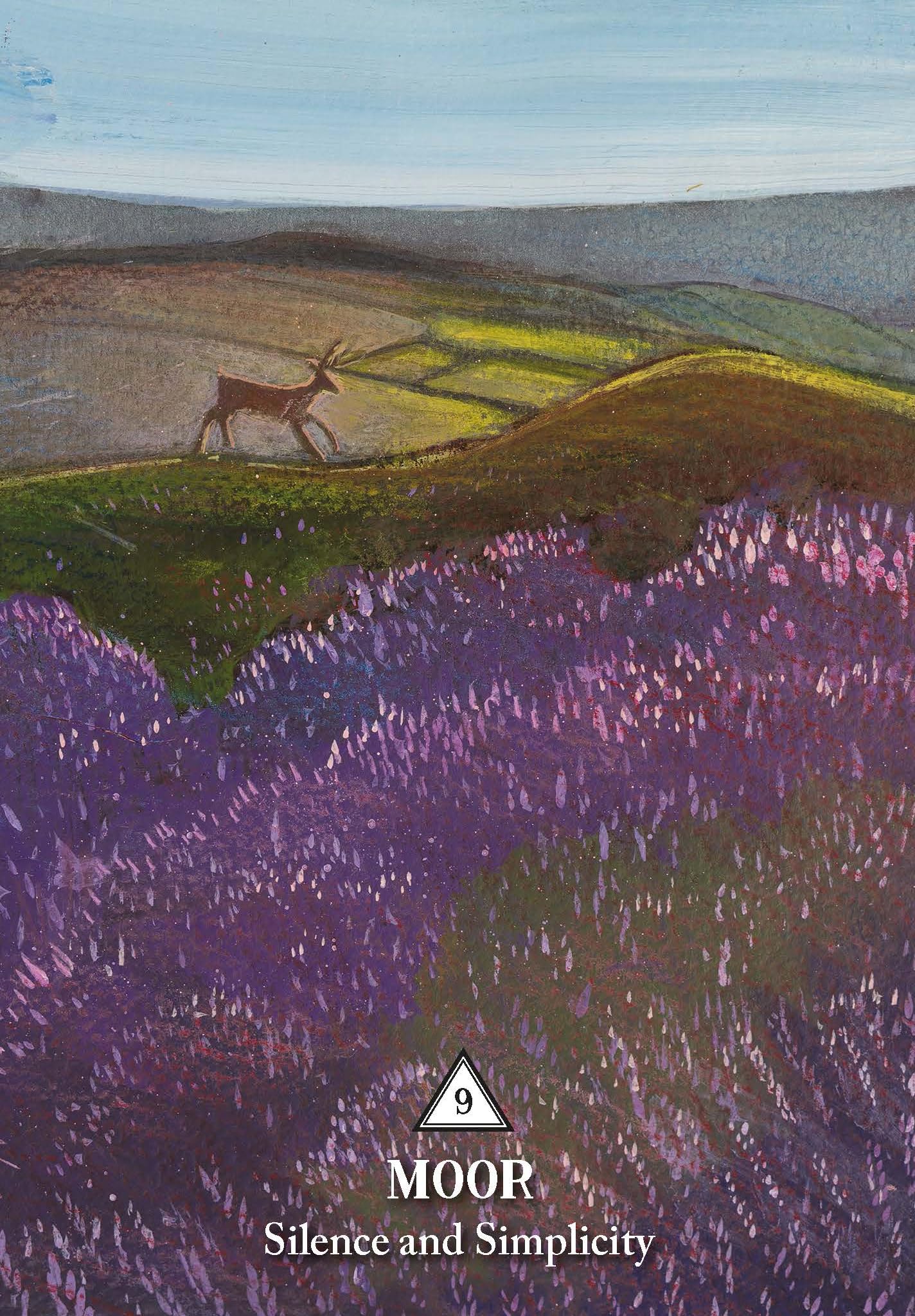 The Rooted Woman Oracle: A 53-Card Deck and Guidebook