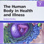 Study Guide for The Human Body in Health and Illness