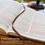 KJV Holy Bible, Super Giant Print Faux Leather Red Letter Edition - Ribbon Marker, King James Version, Pink/Gray (KJV Super Giant Print Editions)