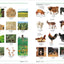 Spanish English Bilingual Visual Dictionary (DK Bilingual Visual Dictionaries)
