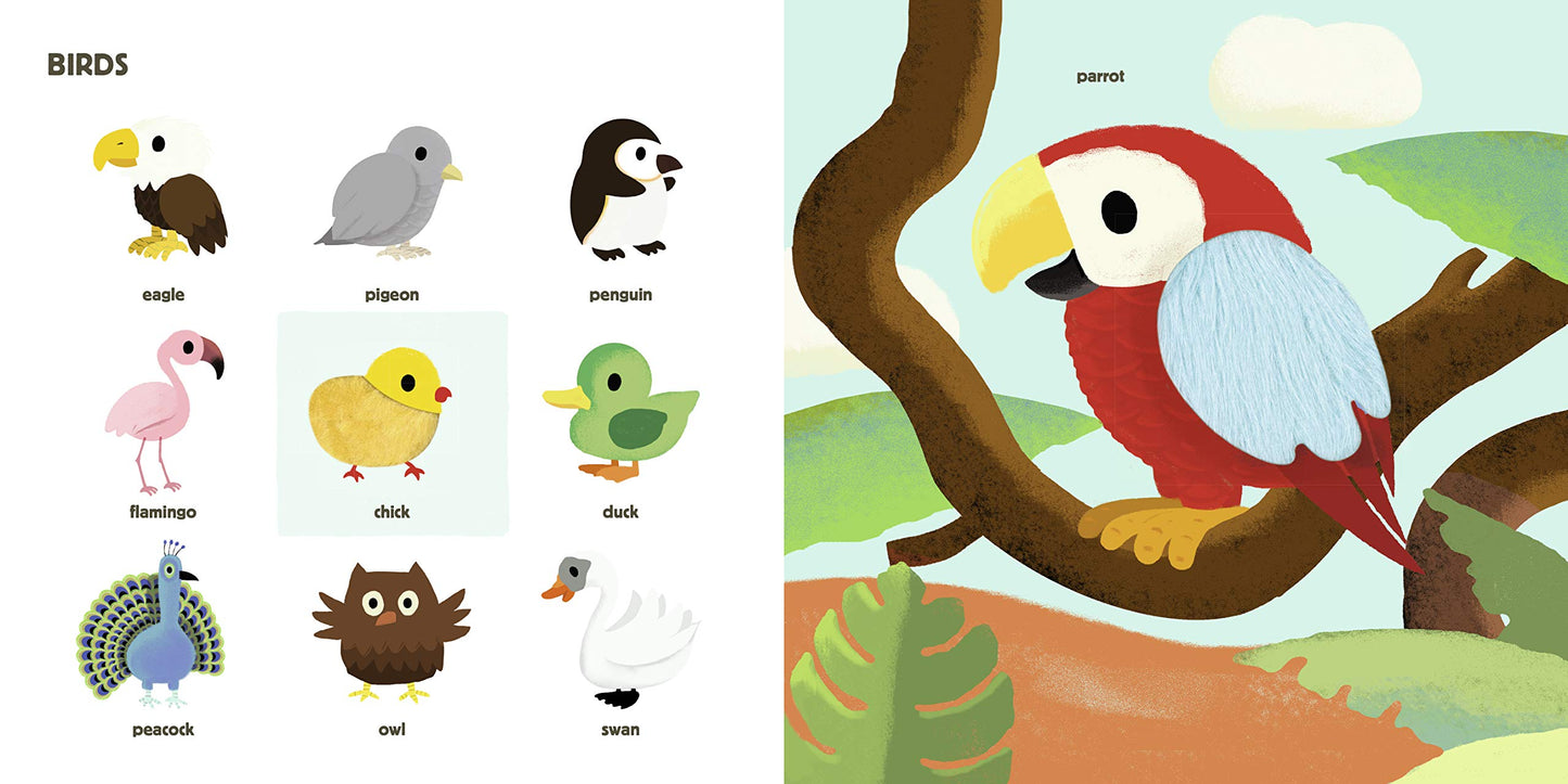 Touch! My Big Touch-and-Feel Word Book (Touch-and-Feel Books, 1)