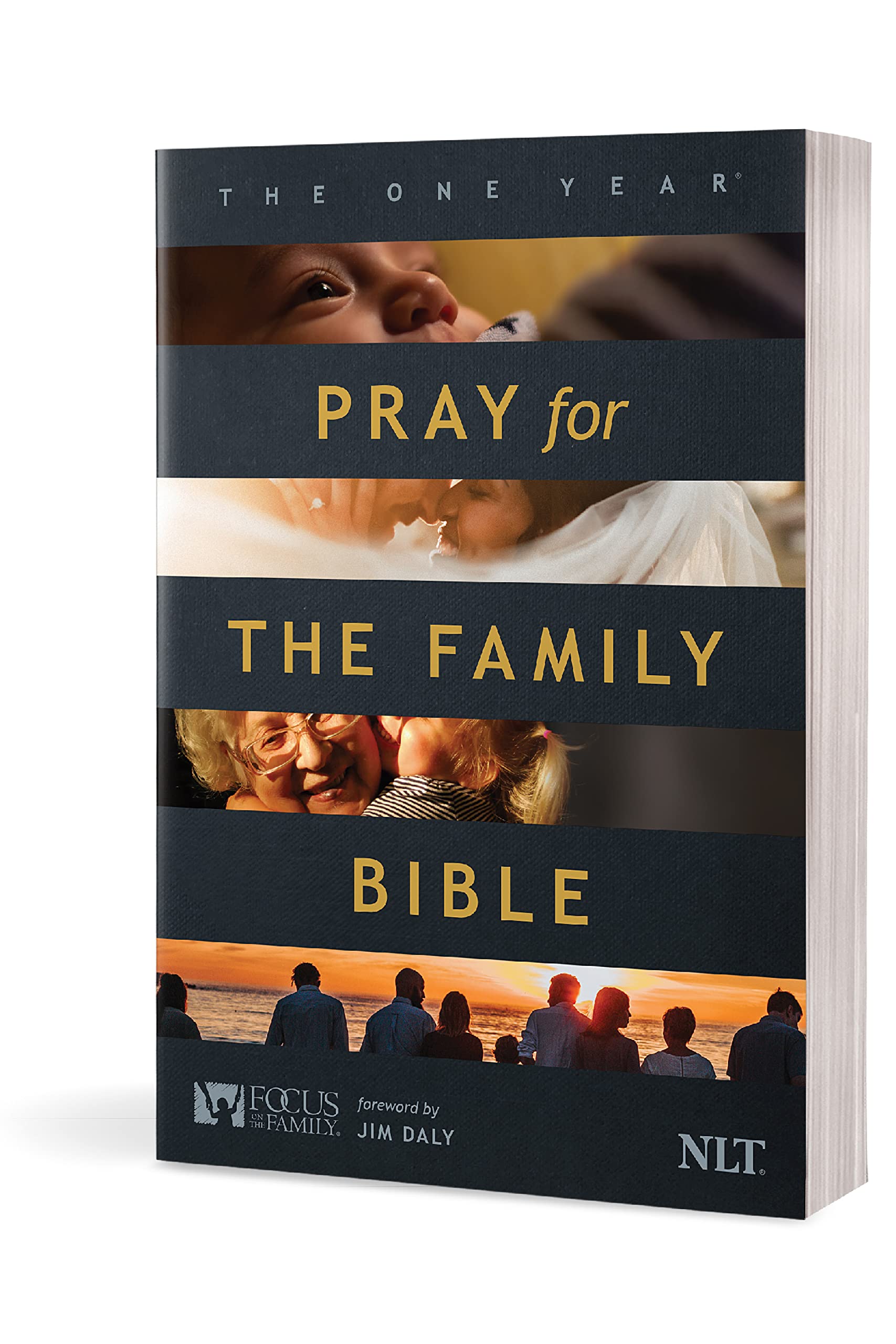 The One Year Pray for the Family Bible NLT (Softcover)
