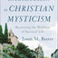 An Introduction to Christian Mysticism: Recovering the Wildness of Spiritual Life