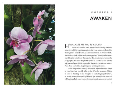 Turn to the Sun: Your Guide to Release Stress and Cultivate Better Health Through Nature