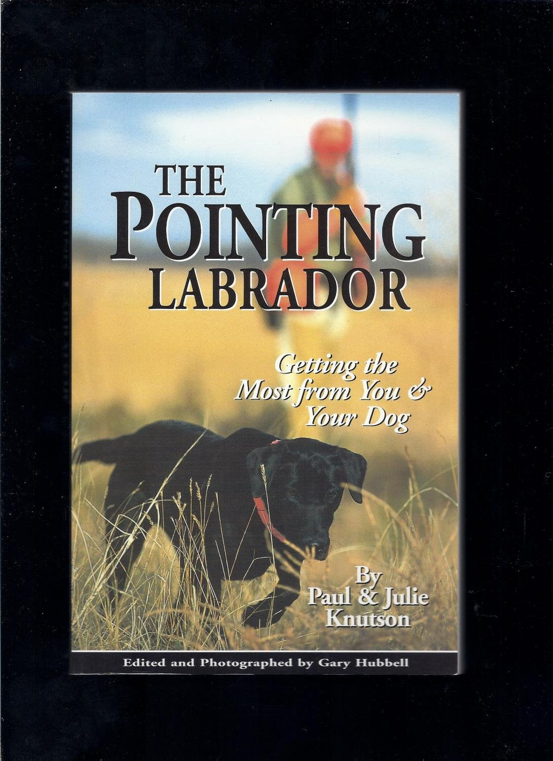 The Pointing Labrador