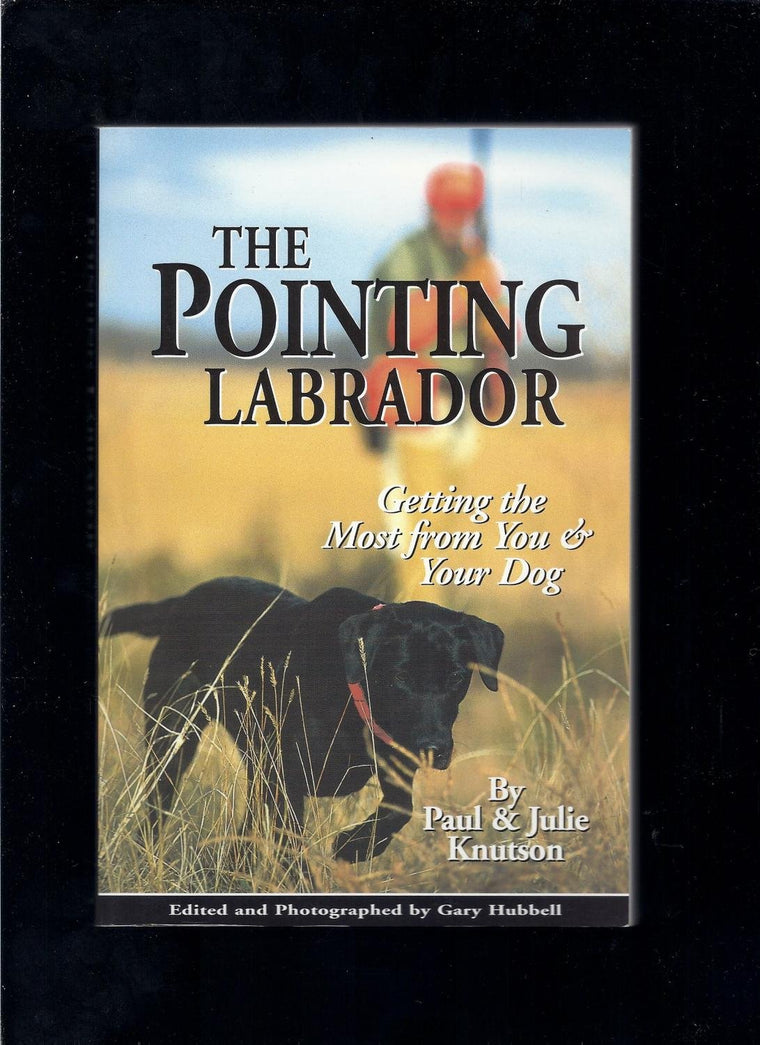 The Pointing Labrador