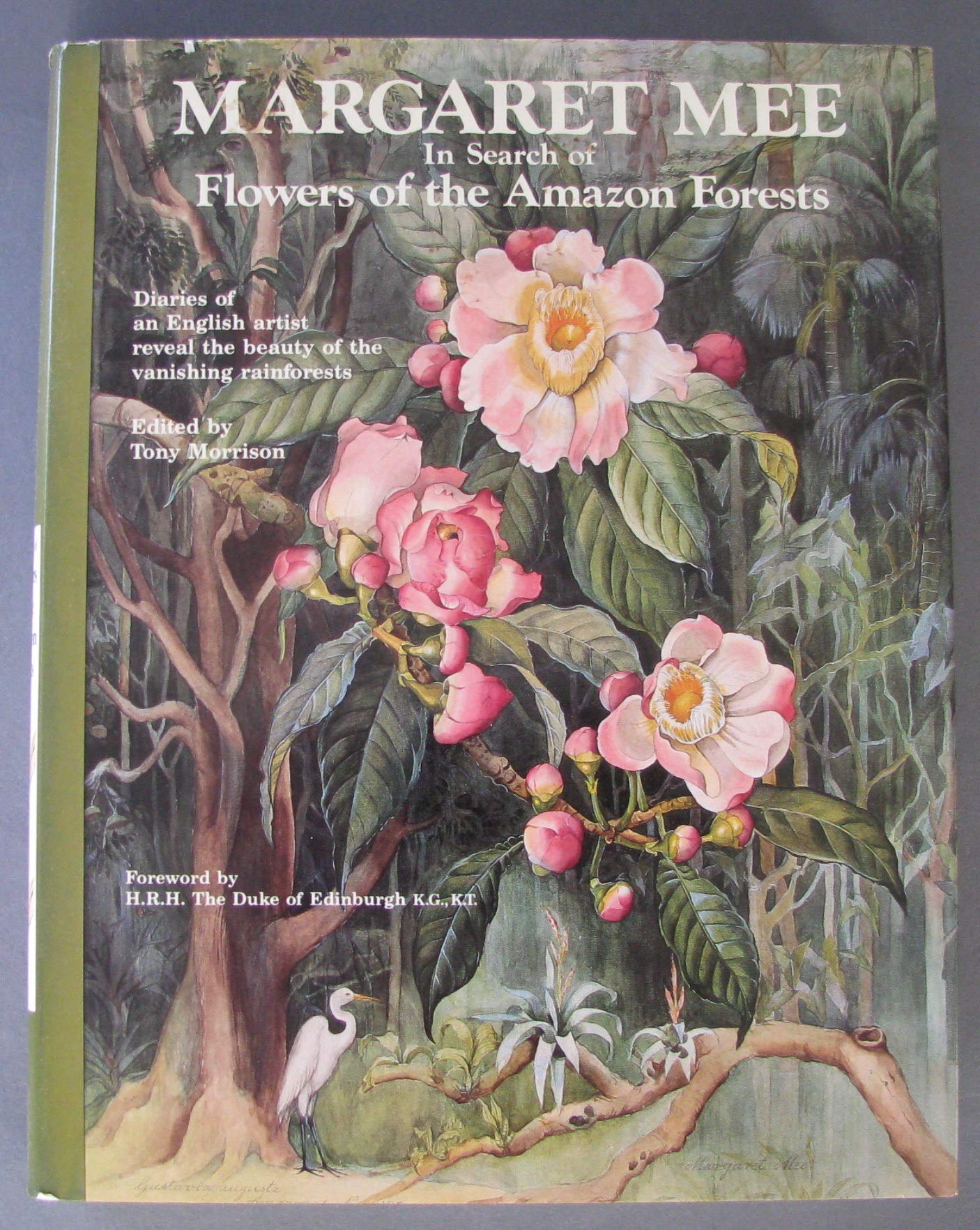 Margaret Mee In Search of Flowers of the Amazon Forests: Diaries of an English Artist Reveal the Beauty of the Vanishing Rainforest