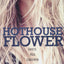Hothouse Flower (Calloway Sisters)