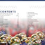Pray Like a Champion Today: Sacred Stories from the Sidelines of Notre Dame Football