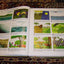 Read-N-Grow Picture Bible: Adventure from Creation to Revelation in 1,872 Realistic Pictures / Jimmy Swaggart Ministries