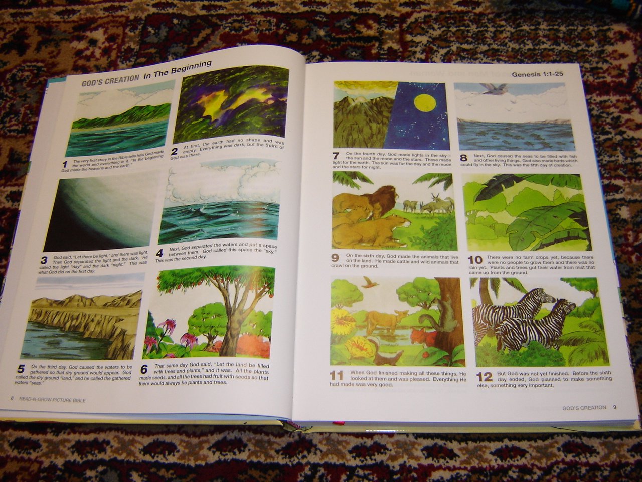 Read-N-Grow Picture Bible: Adventure from Creation to Revelation in 1,872 Realistic Pictures / Jimmy Swaggart Ministries