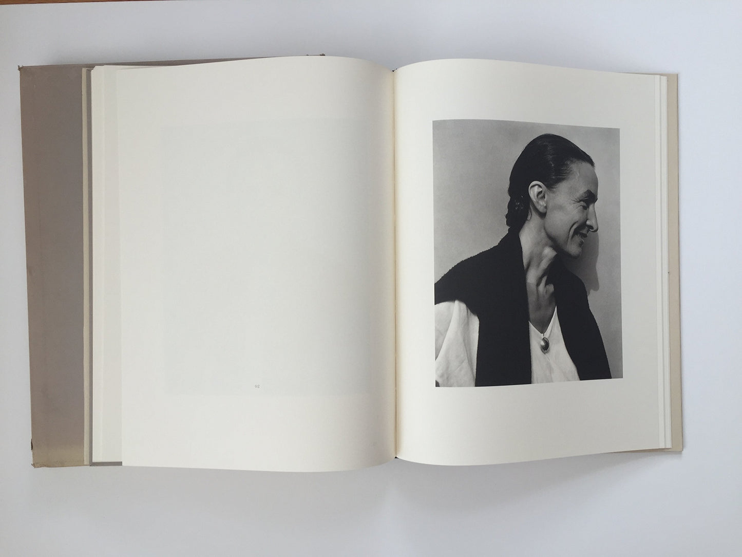Georgia O'Keeffe: A Portrait
