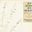 Zen Seeing, Zen Drawing: Meditation in Action by Franck, Fre