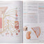 Human Anatomy