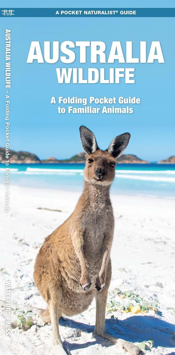 Australia Wildlife: A Folding Pocket Guide to Familiar Animals (Nature Observation International)