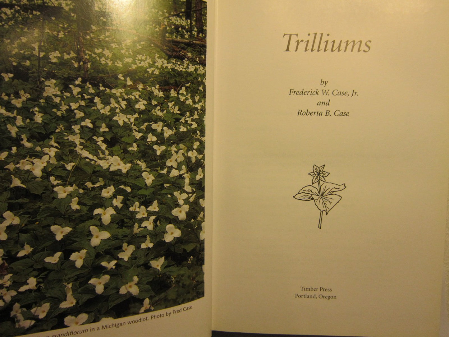 Trilliums