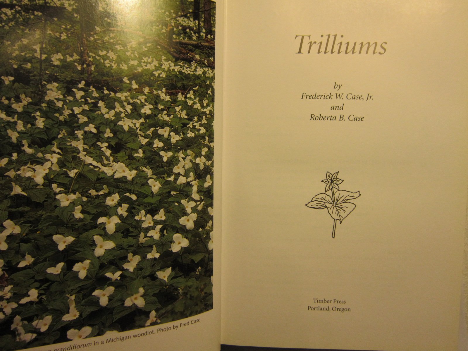 Trilliums