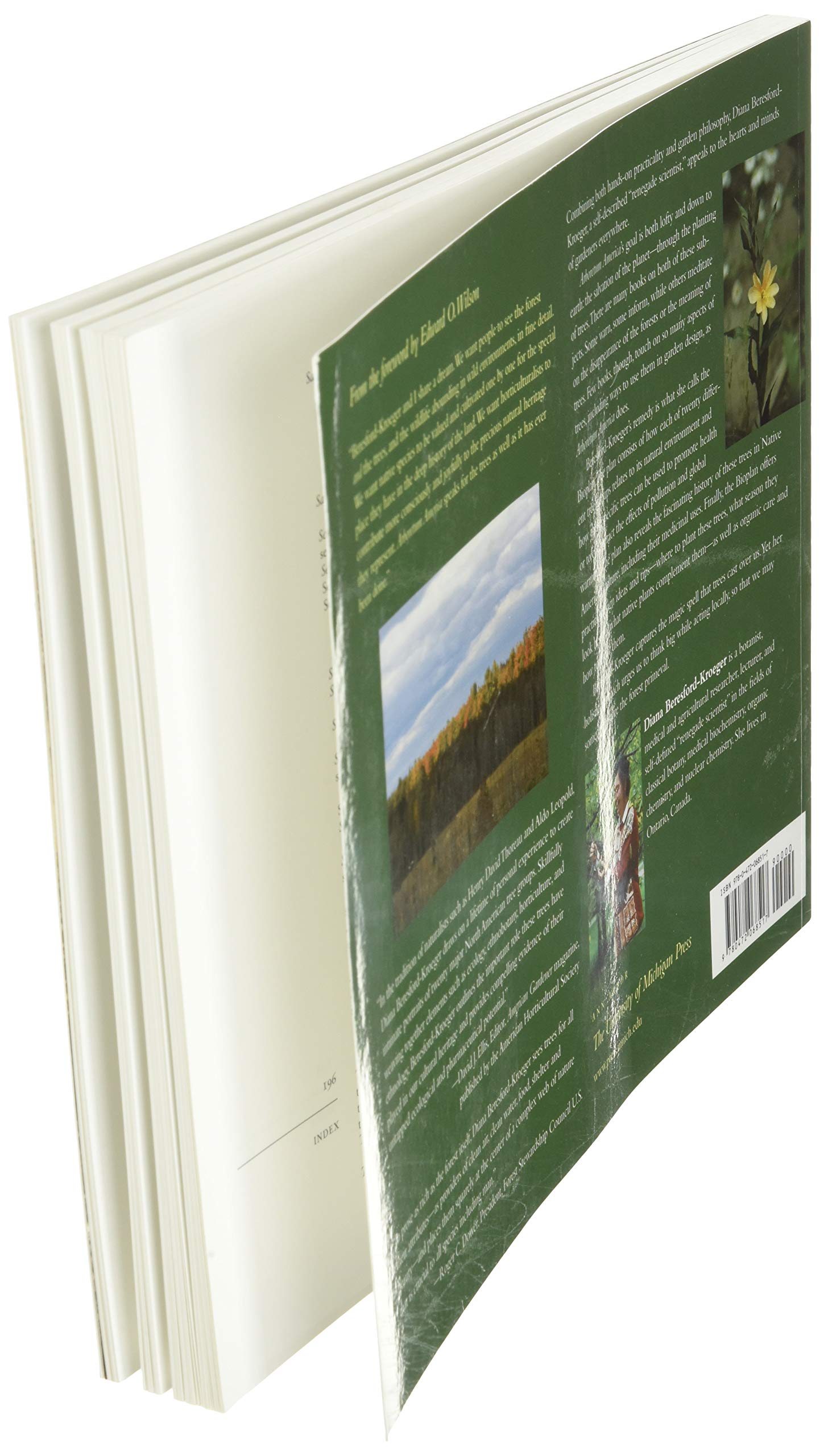 Arboretum America: A Philosophy of the Forest