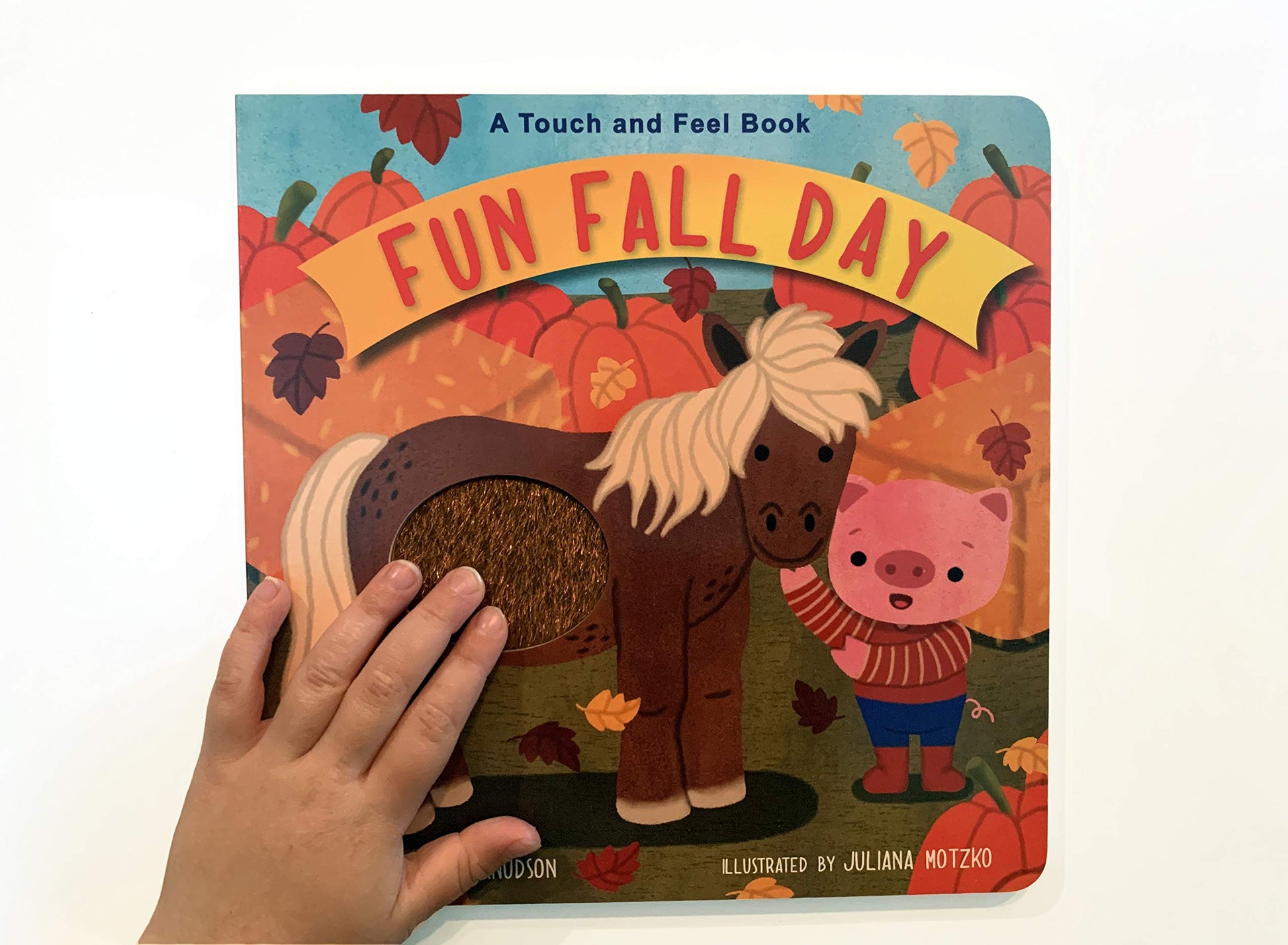 Fun Fall Day: A Touch and Feel Board Book