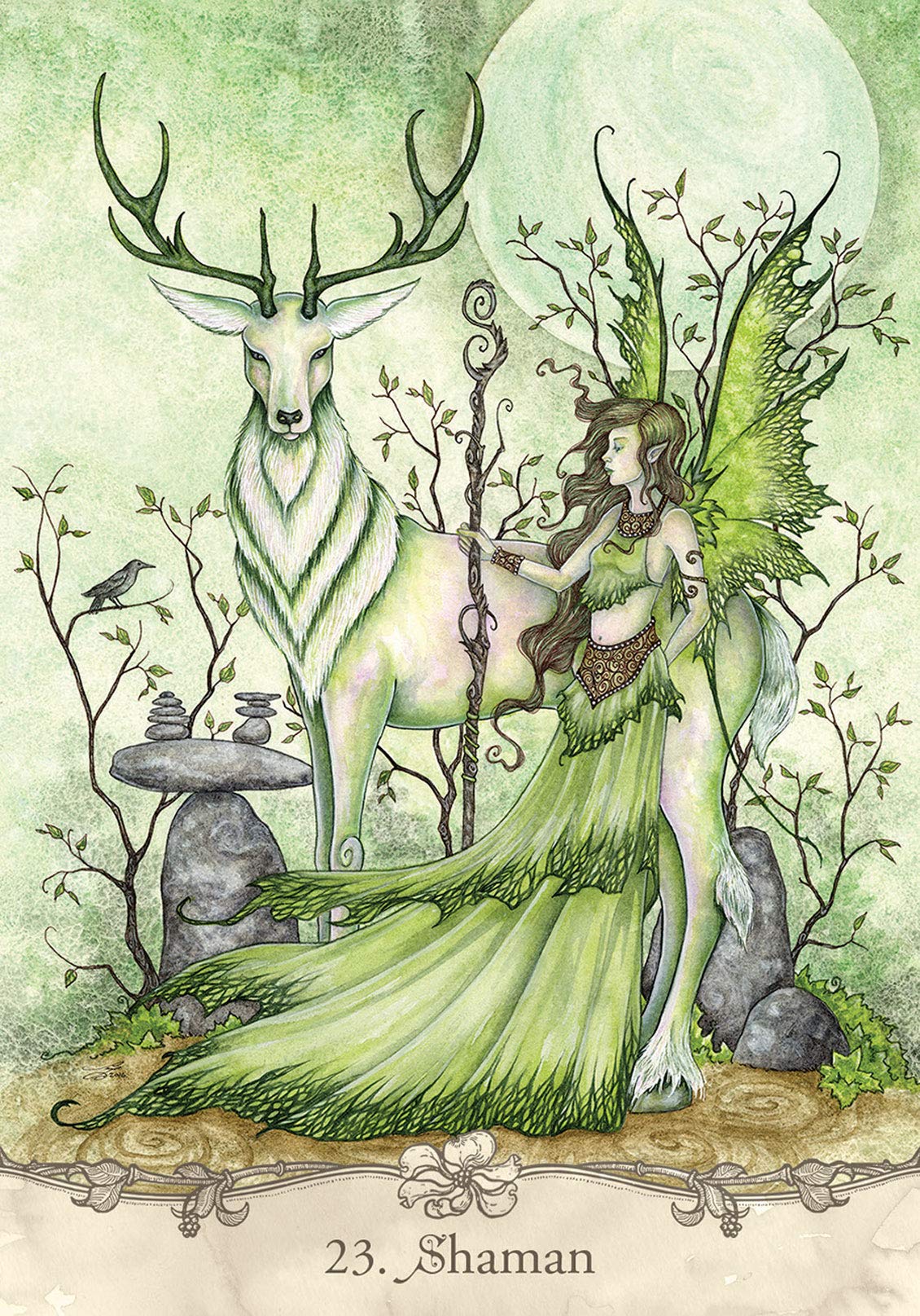Fairy Wisdom Oracle Deck & Book Set: 64 Borderless Cards, Delicate, Whimsical Artwork by Fantasy Artist Amy Brown, Playful Fairies, Dragons and Elves, ... Fully Illustrated Hardcover Guidebook