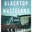Blacktop Wasteland: A Novel