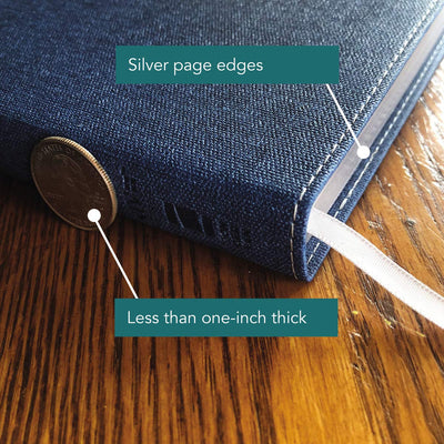 NIV, Bible for Teens, Thinline Edition, Leathersoft, Blue, R