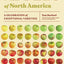 Apples of North America: A Celebration of Exceptional Varieties