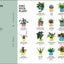 How Not to Kill Your Houseplant New Ed: Survival Tips