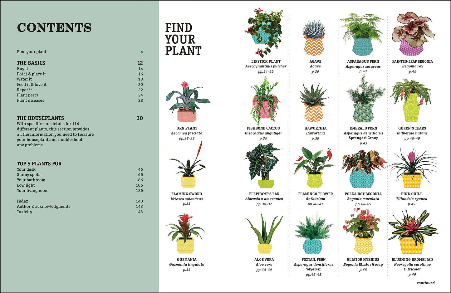 How Not to Kill Your Houseplant New Ed: Survival Tips