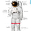 Merriam-Websters Visual Dictionary: Second Edition - Newest Edition: Second Edition
