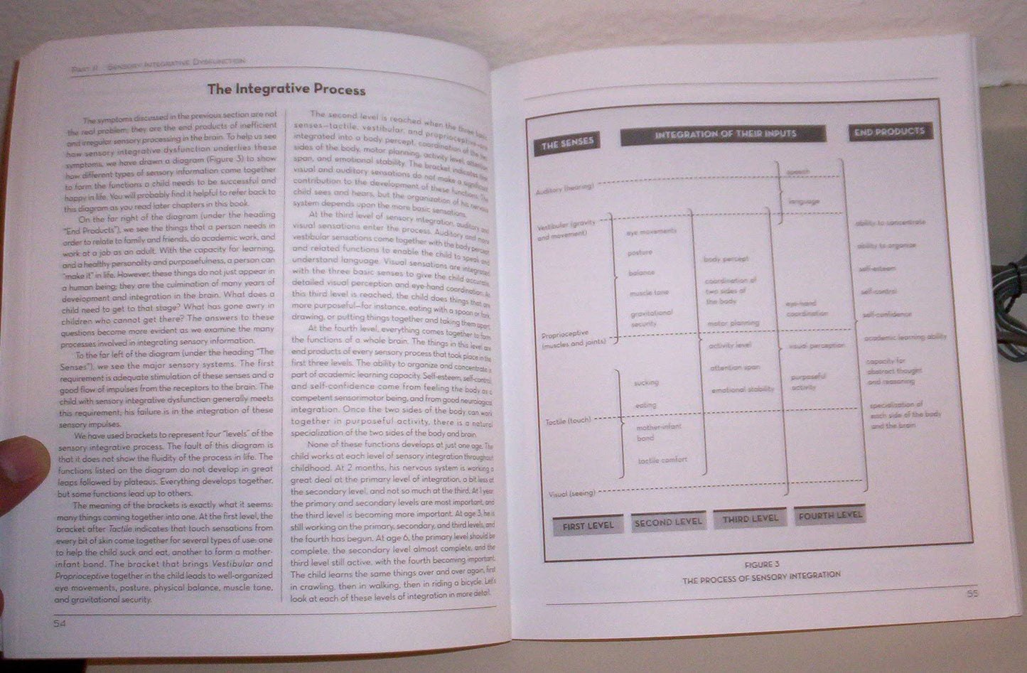 Sensory Integration and the Child: 25th Anniversary Edition