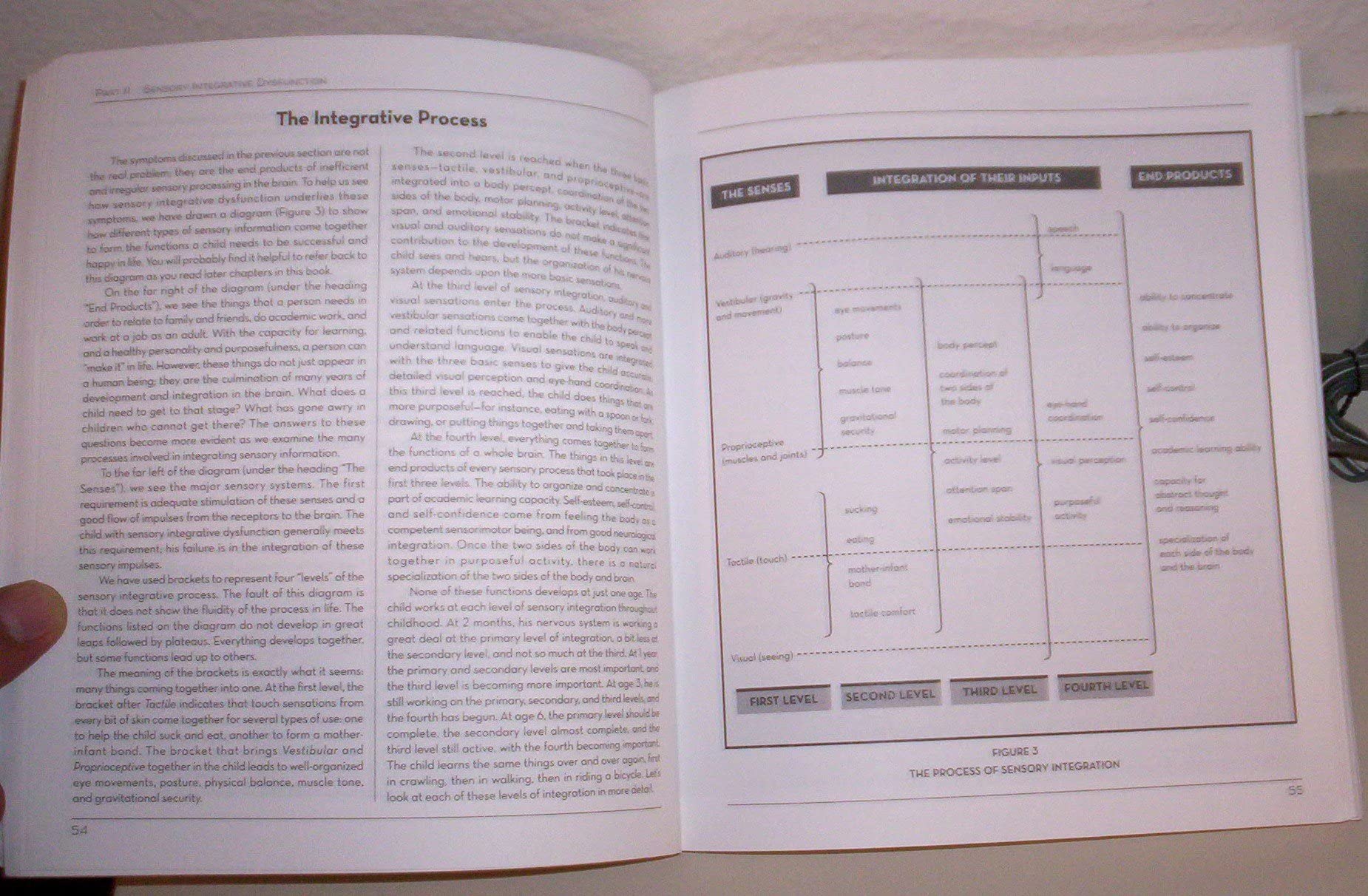 Sensory Integration and the Child: 25th Anniversary Edition