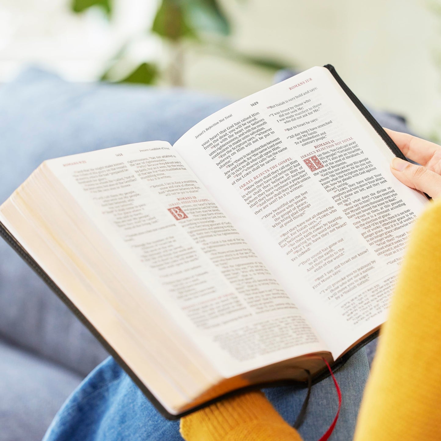 NKJV Large Print Reference Bible, Purple Leathersoft, Red Letter, Comfort Print (Sovereign Collection): Holy Bible, New King James Version