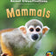 Mammals (Animal Classifications)