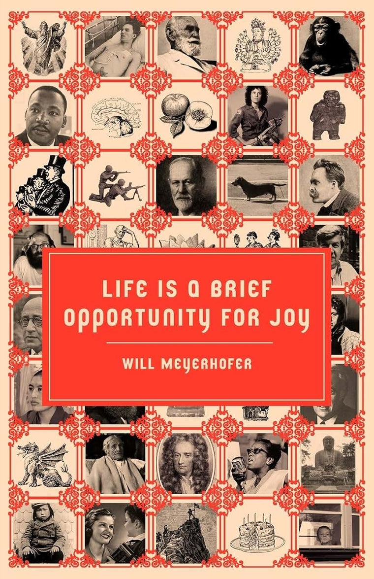 Life is a Brief Opportunity for Joy