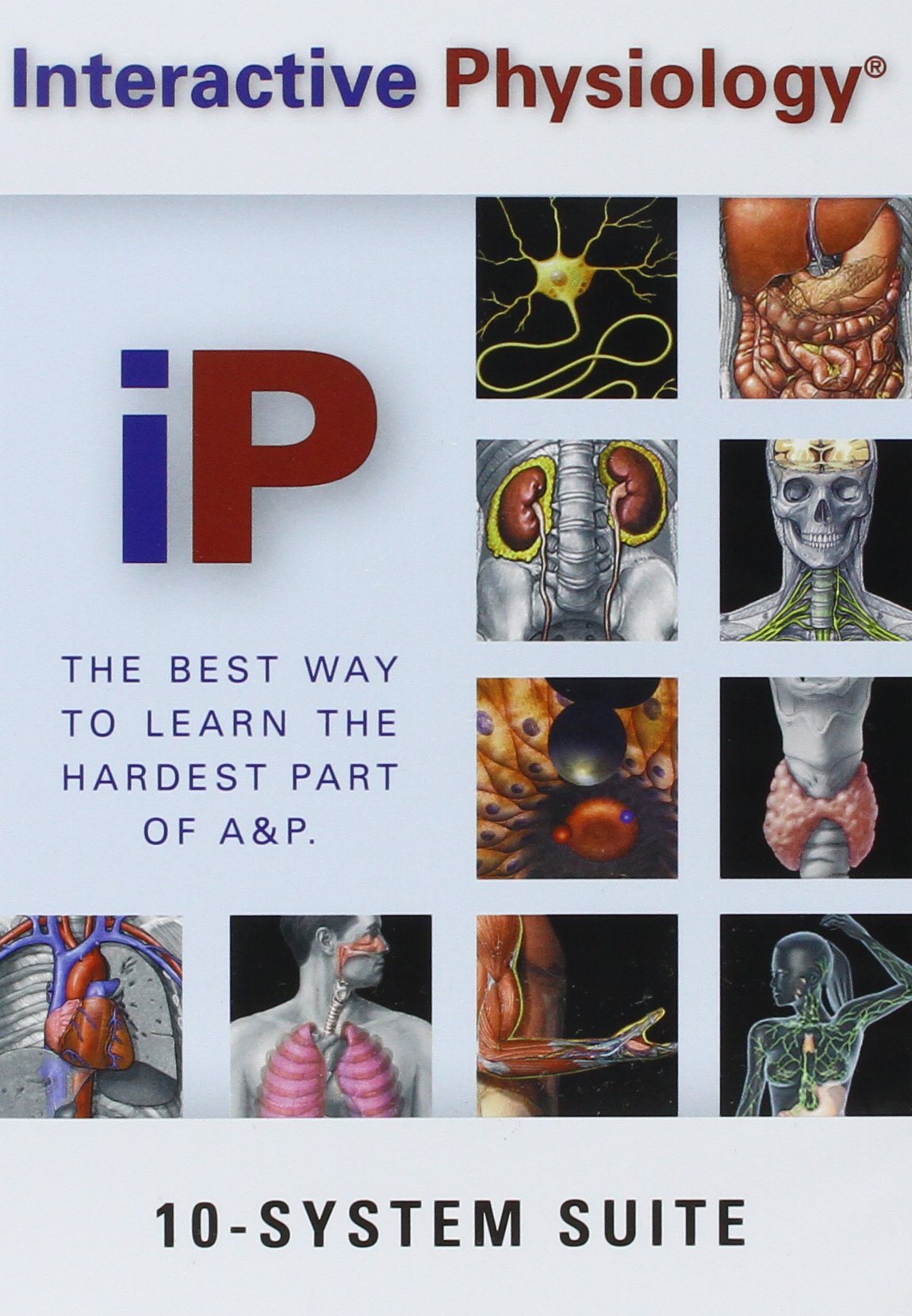 Interactive Physiology: 10-System Suite