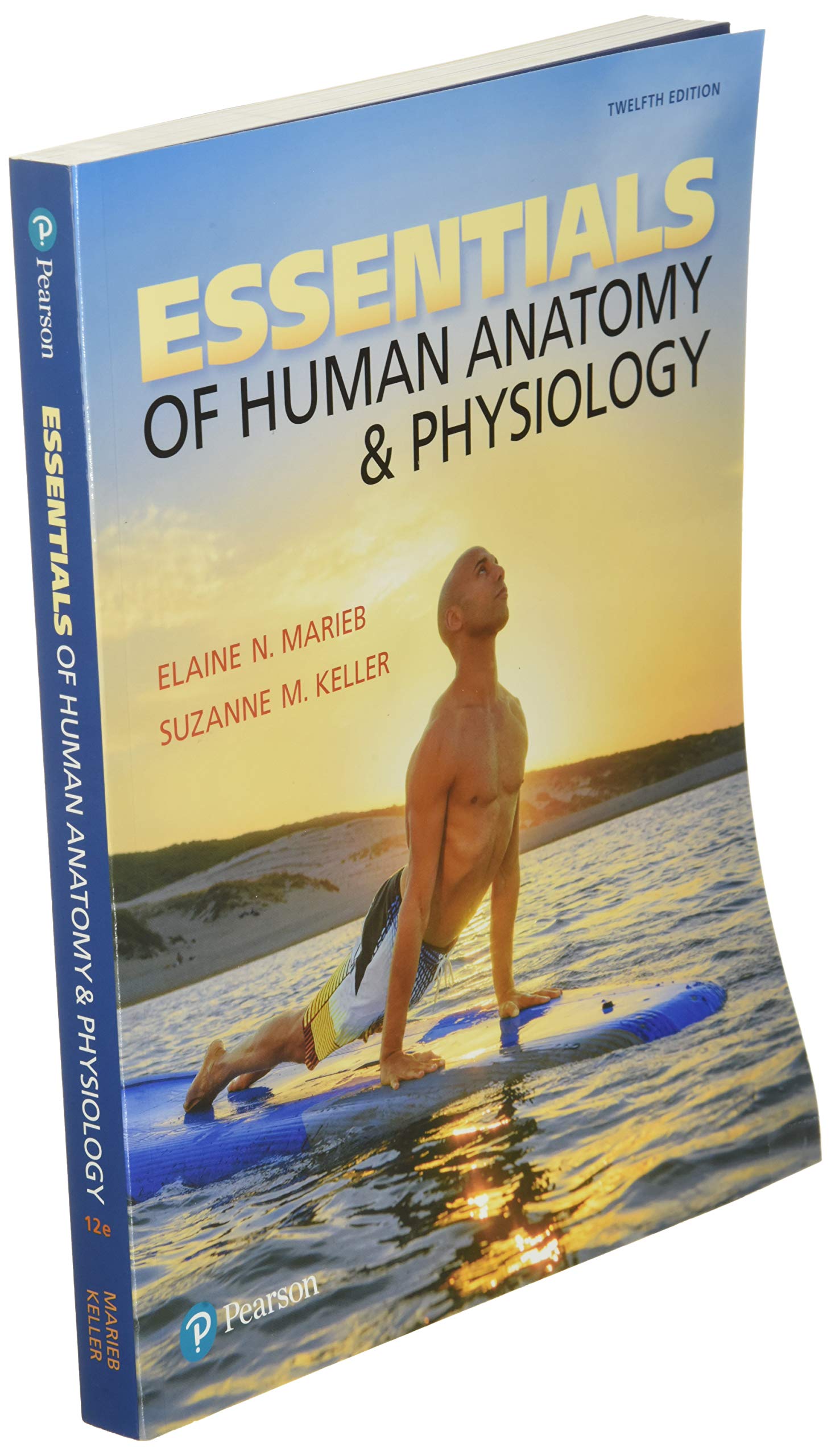 Essentials of Human Anatomy & Physiology