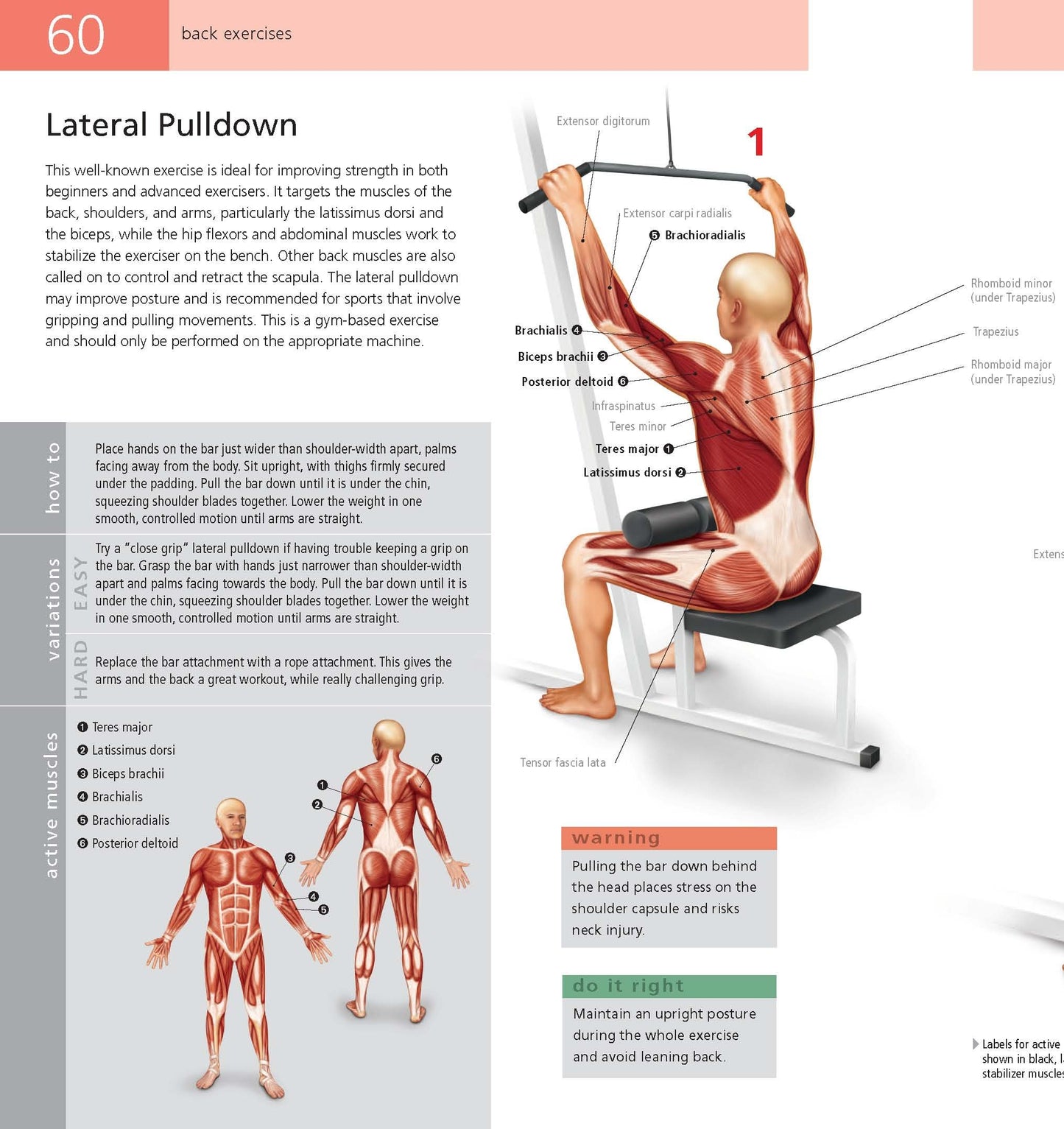 Student's Anatomy of Exercise Manual: 50 Essential Exercises Including Weights, Stretches, and Cardio