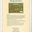 Samantha 1904: Teacher's Guide to Six Books About America's New Century for Boys and Girls (American Girl Collection)