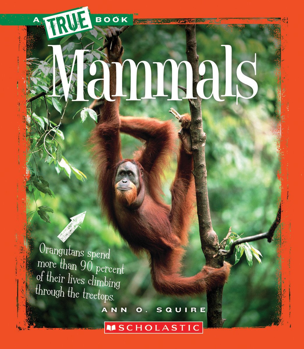 Mammals (True Books)