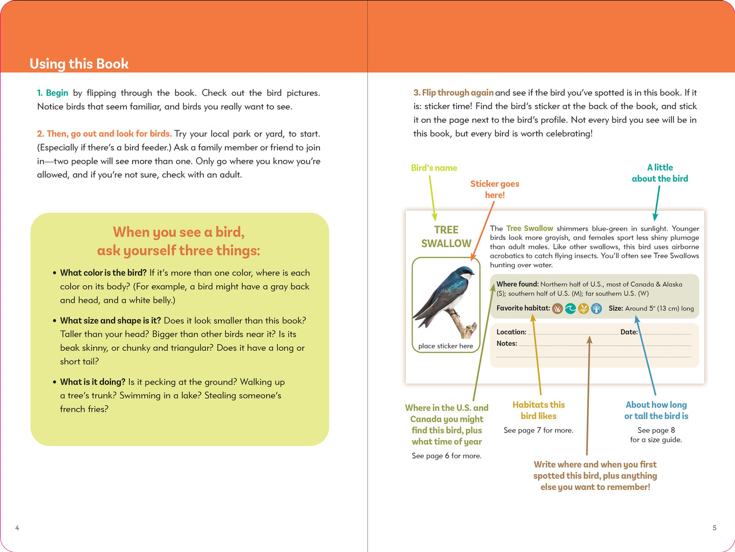 Birder's Logbook: A Seek-and-Sticker Book for Budding Ornithologists (comes with 100 full-color stickers of birds!)