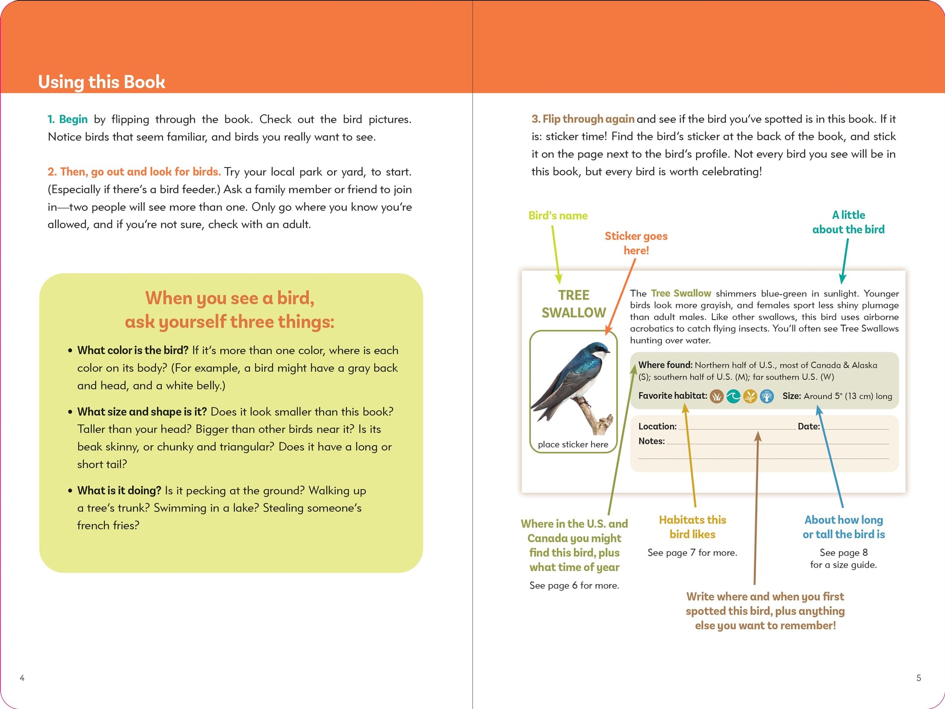 Birder's Logbook: A Seek-and-Sticker Book for Budding Ornithologists (comes with 100 full-color stickers of birds!)