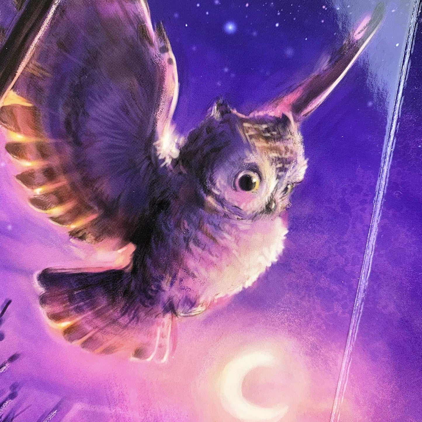 A Little Owl