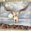 Georgia Okeeffe: In The West by Doris Bry